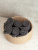 Набор махровых салфеток осибори Sandal "оптима" 30*30 см., цвет - серый, плотность 380 гр. - 6 шт - фото